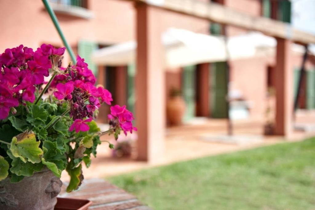 Podere Chiaromonte パラーイア エクステリア 写真