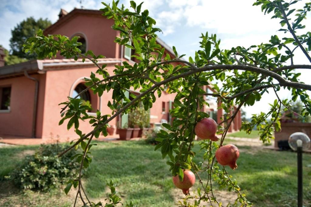 Podere Chiaromonte パラーイア エクステリア 写真